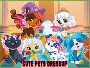 Cute Pets Summer Dress-Up Game